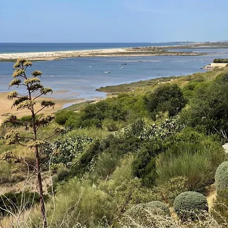 Rustic House With 2 Pools In A Monastery 別荘 *