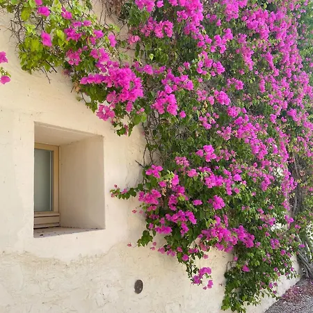 Rustic House With 2 Pools In A Monastery בית נופש