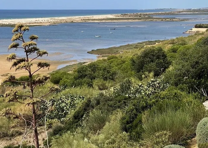 Rustic House With 2 Pools In A Monastery Сasa de vacaciones *