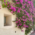 Rustic House With 2 Pools In A Monastery Casa vacanze