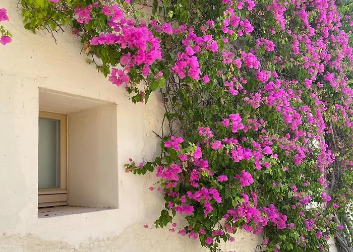 Rustic House With 2 Pools In A Monastery Vakantiehuis